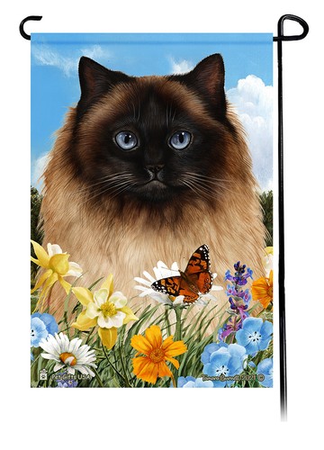 Himalayan cat summer flowers - summer,