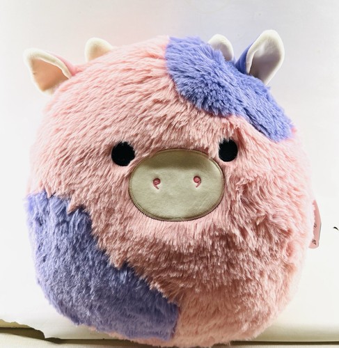 Squishmallows - , 12”