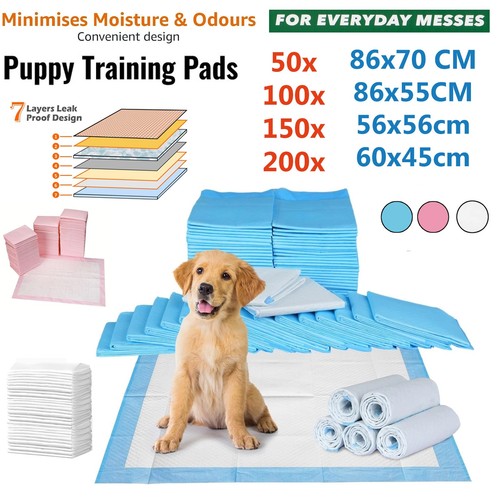 Large puppy training trainer - puppy,