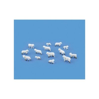 Sheep lambs model scene - sheep, &