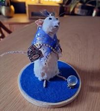Mouse Taxidermy Fortune Teller