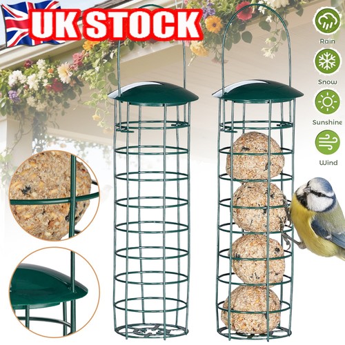 Wild bird fat ball hanging - fat,