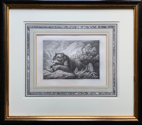 Samuel howitt - howitt, (1756–1822)