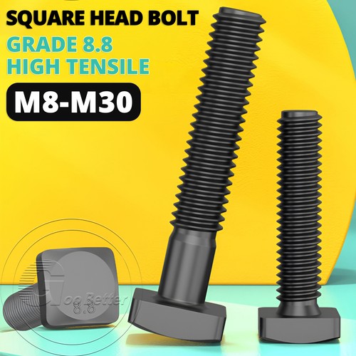 M10 m12 m30 - m8, head