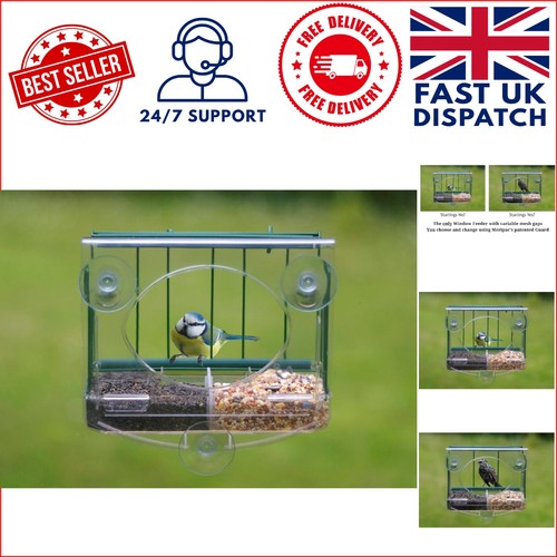 Elegant pigeon proof window - elegant, pigeon-proof