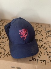 Somerset County Cricket Club
