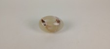 Natural Dendritic Agate