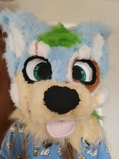 Fursuit Head, Tail And Furry