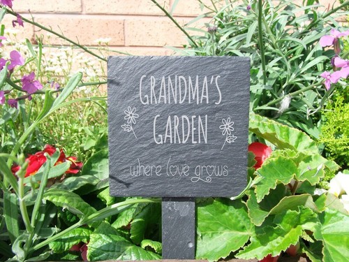 Grandma garden slate plant - grandma's,