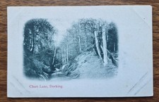 Chart Lane, Dorking Surrey Vintage Undivided Postcard Woodland Path Scene