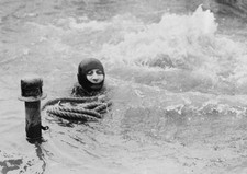 Farnborough Austin Champ