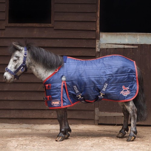 Gallop equestrian ponie - gallop, 200g