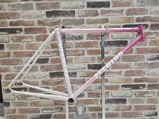 Peloton NJS Track Bike Frame