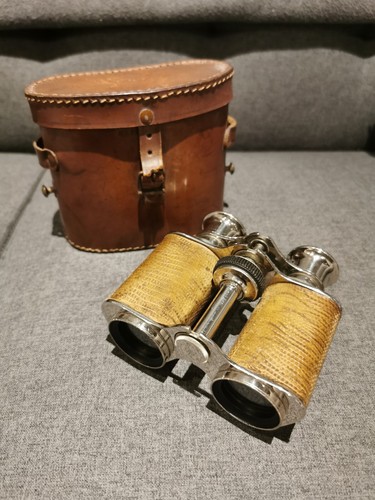 Vintage antique snakeskin - vintage,