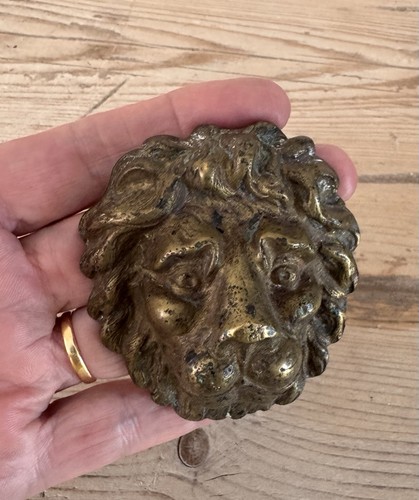 Victorian brass lion - brass, head