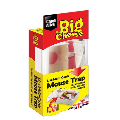 The big cheese live multi - live,