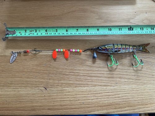 Pike fishing - pike,