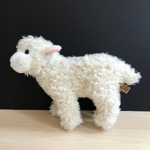 Living nature white - nature, sheep