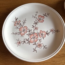 Vintage Biltons Ironstone Tableware Summer Beauty 30 Piece Dinner Set