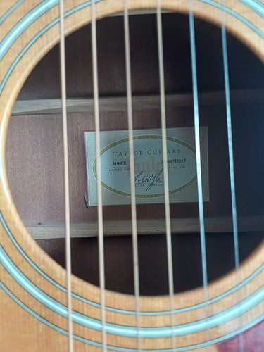 Taylor 310 semi acoustic - 310-ce, semi-acoustic
