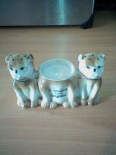 A present from Brighton dog
