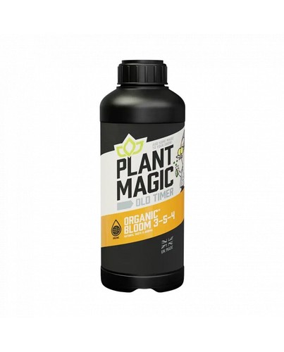 Plant magic old timer - plant,