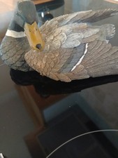 Vintage Preening Mallard Duck