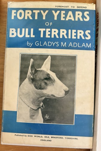Rare forty years - years, bull