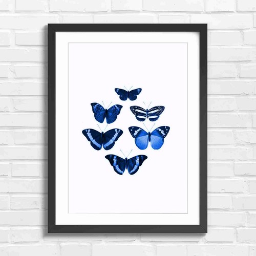 Vintage butterfly collection - butterfly,