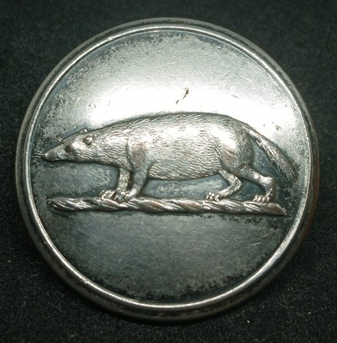Badger family livery button - badger,