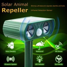 Solar Power Cat Animal