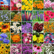 species of older plants are