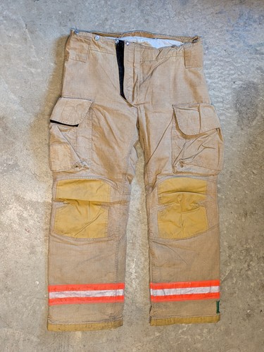 Lion firefighter turnout - lion,