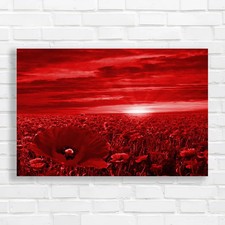 Poppy field sunrise canvas - sunrise,
