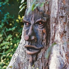 Rustic tree face wall - rustic,