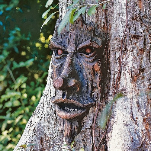 Rustic tree face - face, wall