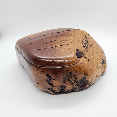 Large exotic manzanita burl - exotic,