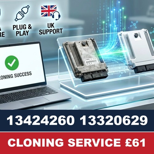 Cloning service 13424260 - cloning,