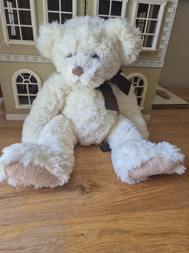Beautiful sidney bear from - sidney,