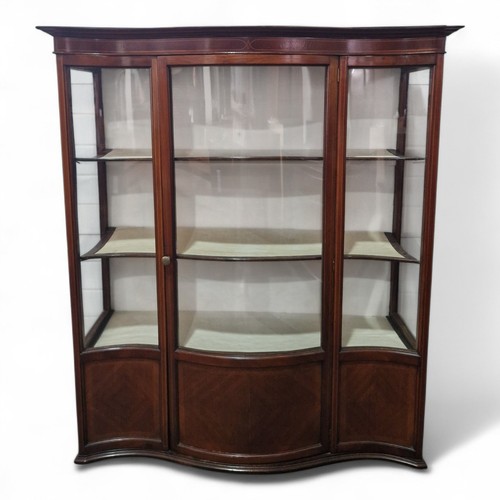Large antique mahogany display - antique,