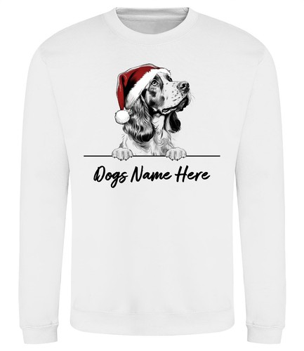 Welsh springer spaniel - springer,