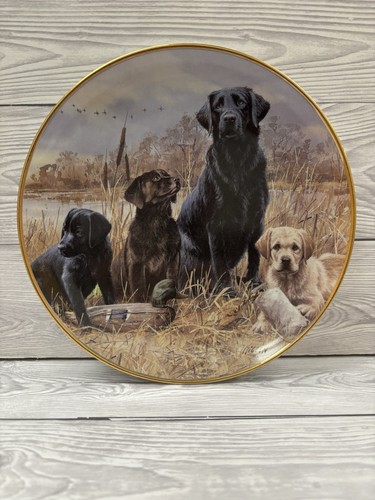 Labrador dog porcelain plate - dog,