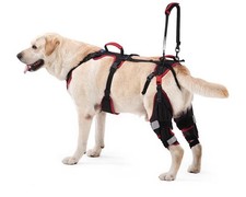 Dog ACL CCL Knee Brace for