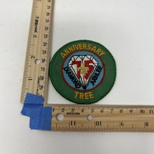 Boy scout 75th - boy,