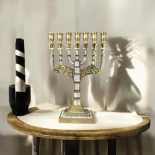 Judaica 7 Branch Nickel