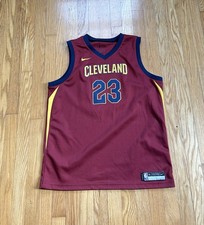 Nike Lebron James Cleveland