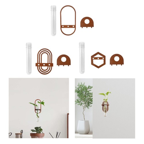 Hydroponic vase wall hanging - hydroponic,