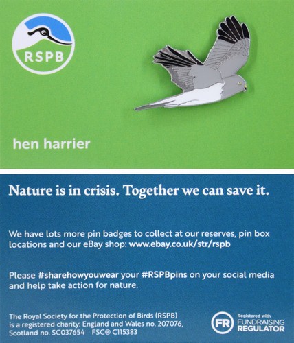 Rspb pin badge niic - pin,