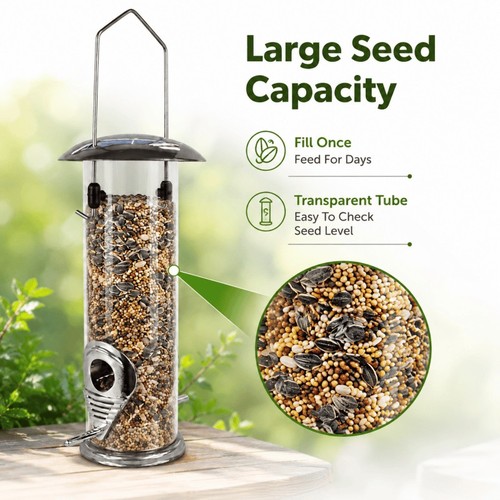 Garden seed peanut - seed, fat