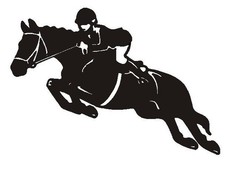 LARGE 23" horse horsebox vinyl